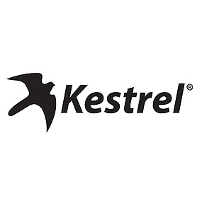 Kestrel (Nielsen-Kellerman)