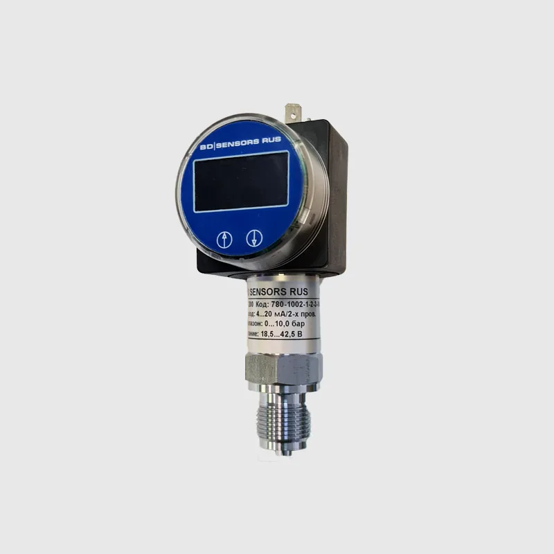 Датчик BD Sensors DS 200